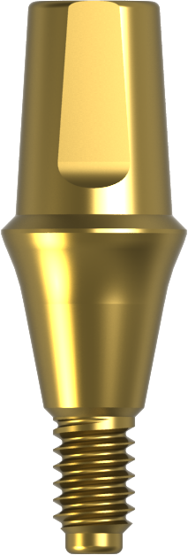 Solid Abutment